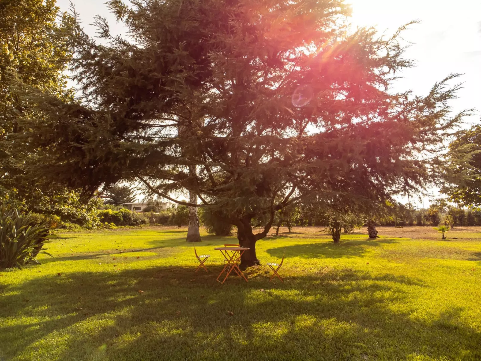 Elea resort preveza-Buiten