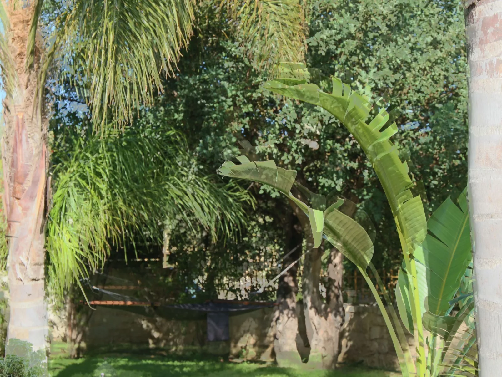 Ferienvilla mit Garten, Grill und Terrasse - Buiten