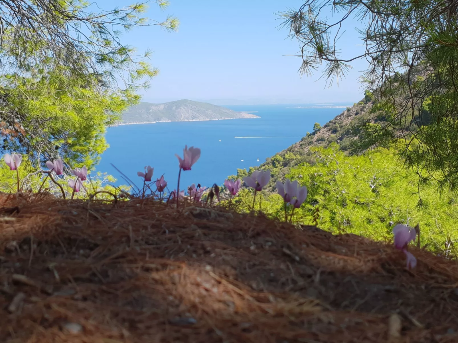 "Villa Newlands" - Pool, Meer und Inseln-Buiten
