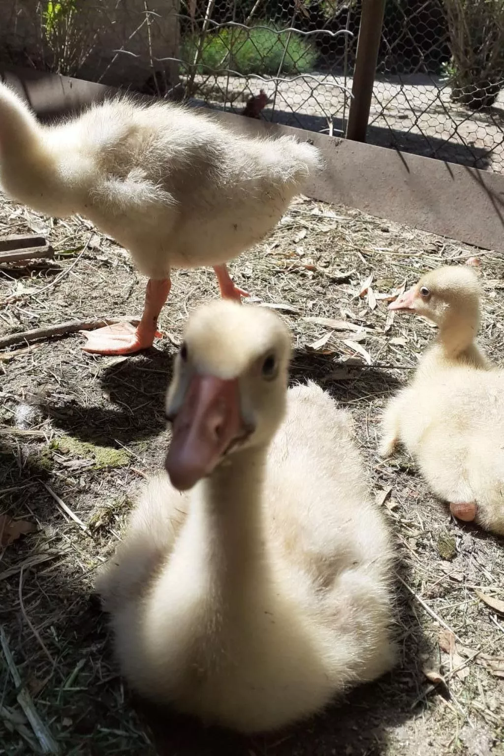 Leonie's Gîte Moulin de Tartay in Avignon-Image-tags.info