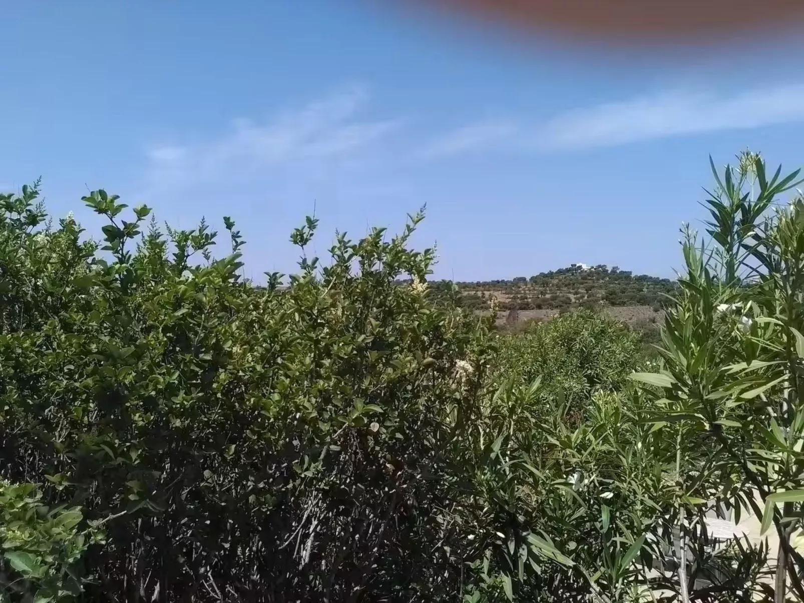 "brigitte" mit Pool-Buiten