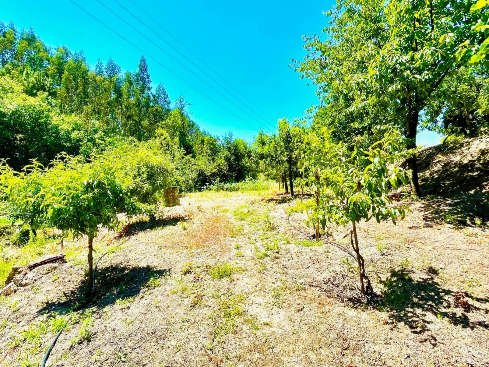 Charmantes Haus in Penafiel Douro-Tal-Buiten