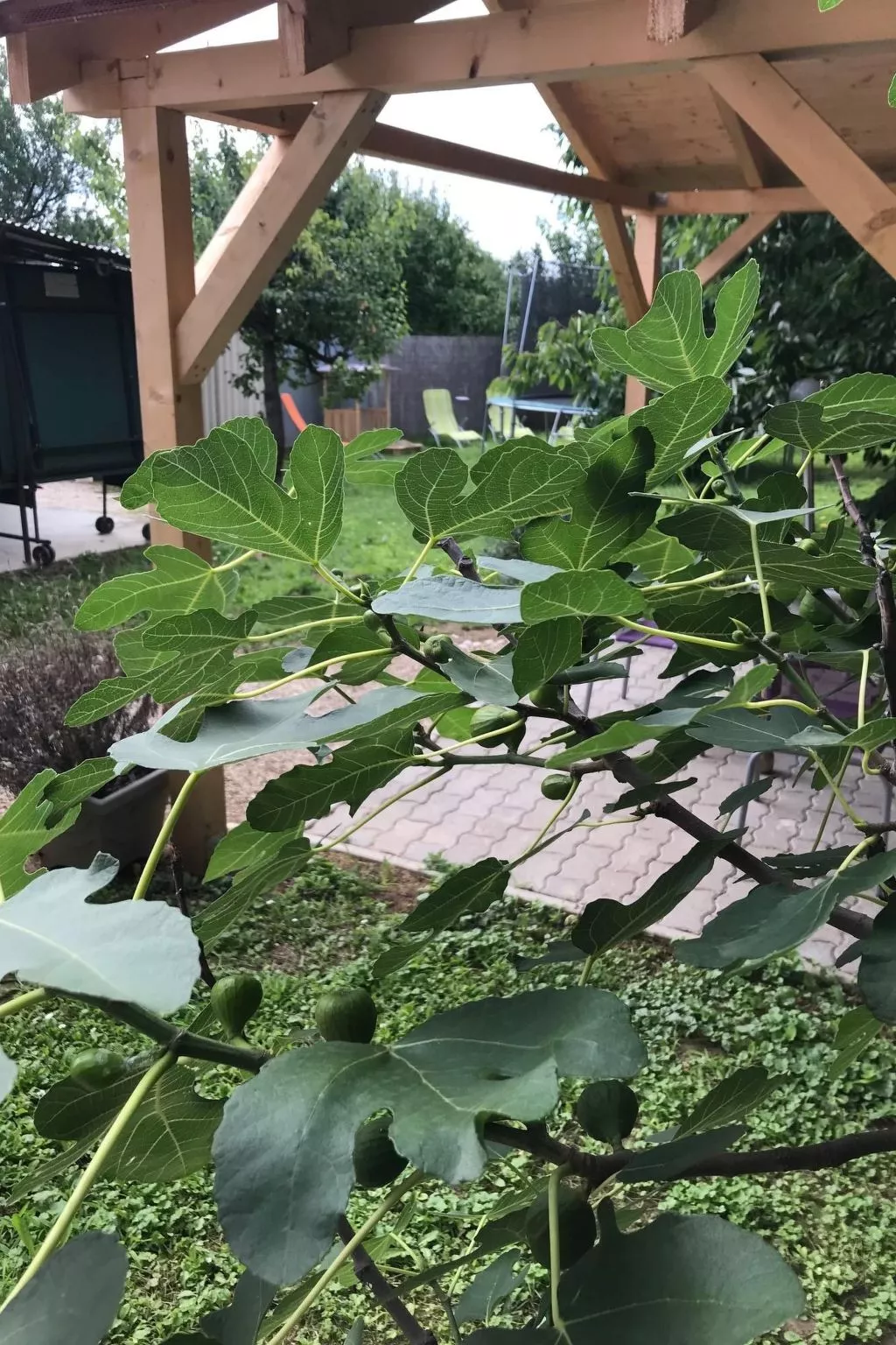 Hungarium am Platte-Buiten