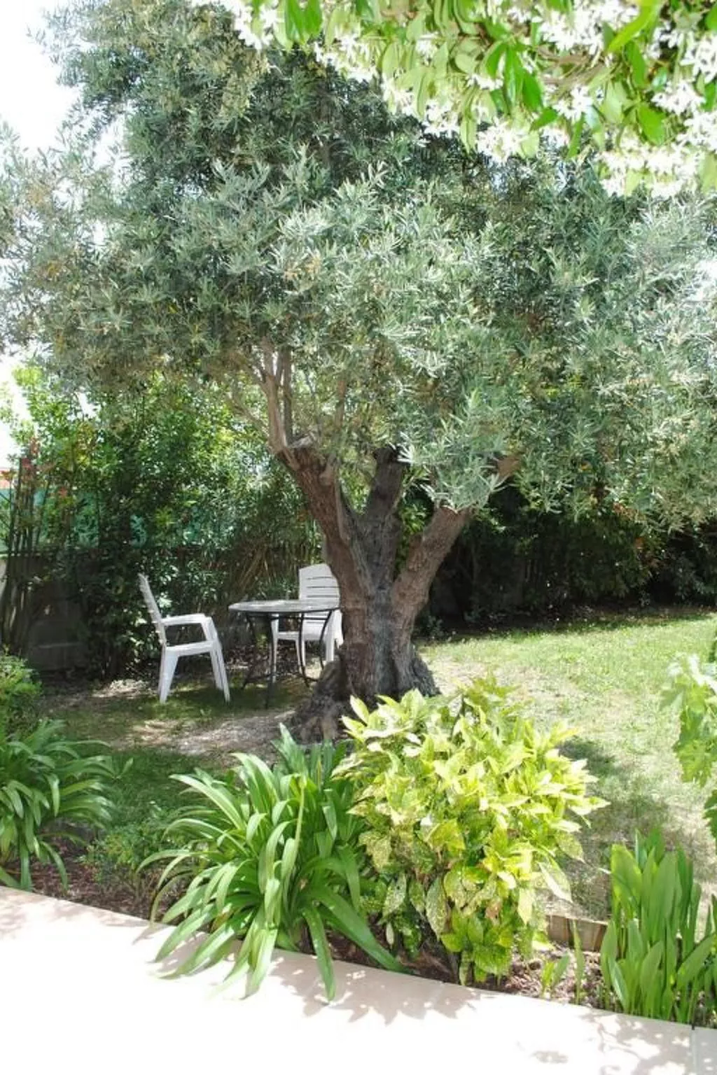 Haus "Les Cyprès" mit Gemeinschaftspool-Image-tags.info