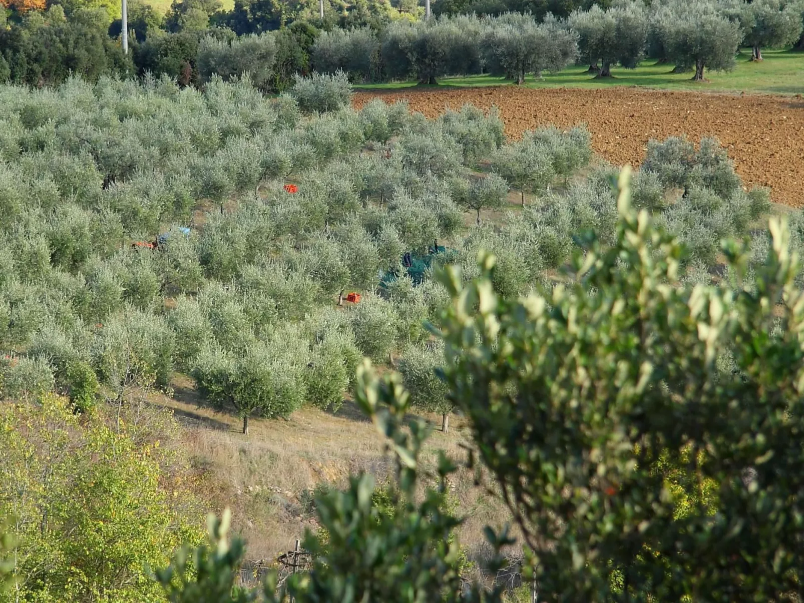 Gemütliches Studio im Erdgeschoss, mit Terrasse-Buiten