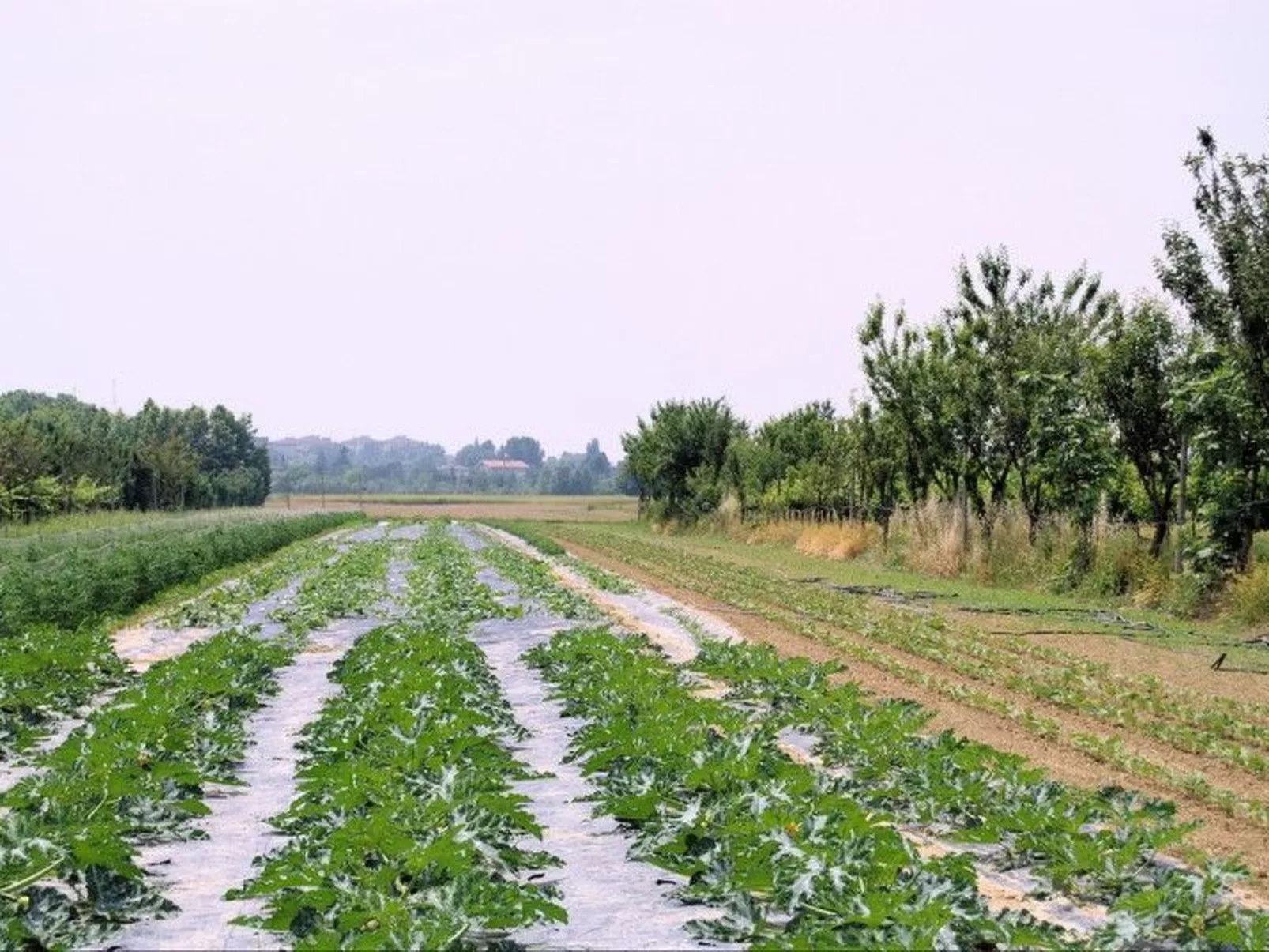 Schöne Wohnung in Venedig mit Garten und Grill-Buiten