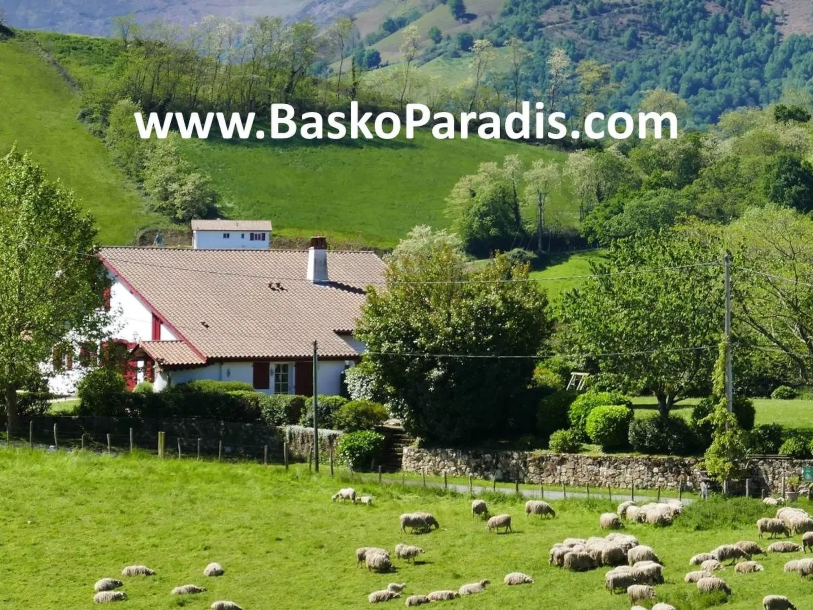 ARTZAMENDI-Image-tags.info