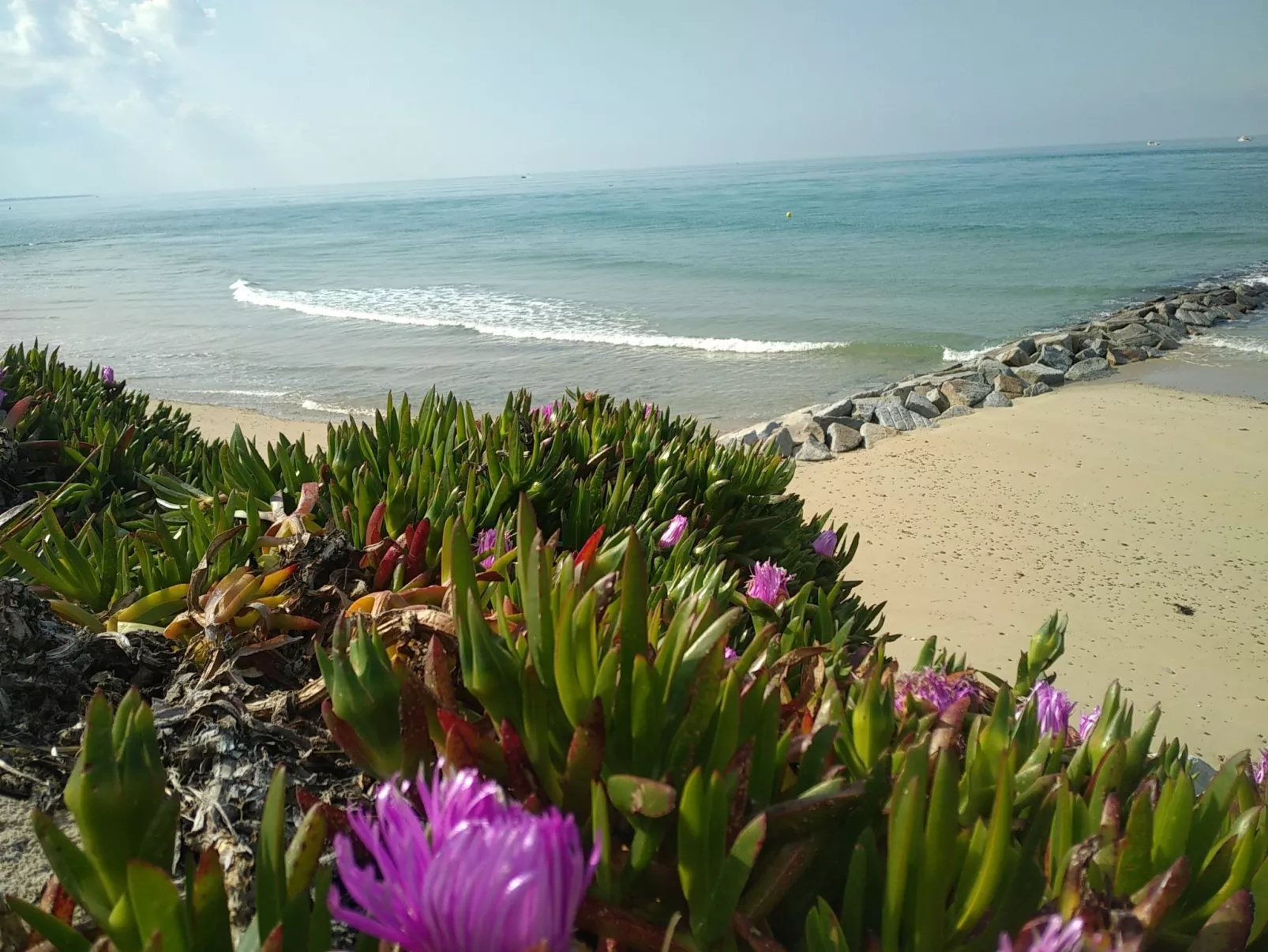 Le Bois aux Ecureuils (Eichhörnchenwald)-Buiten