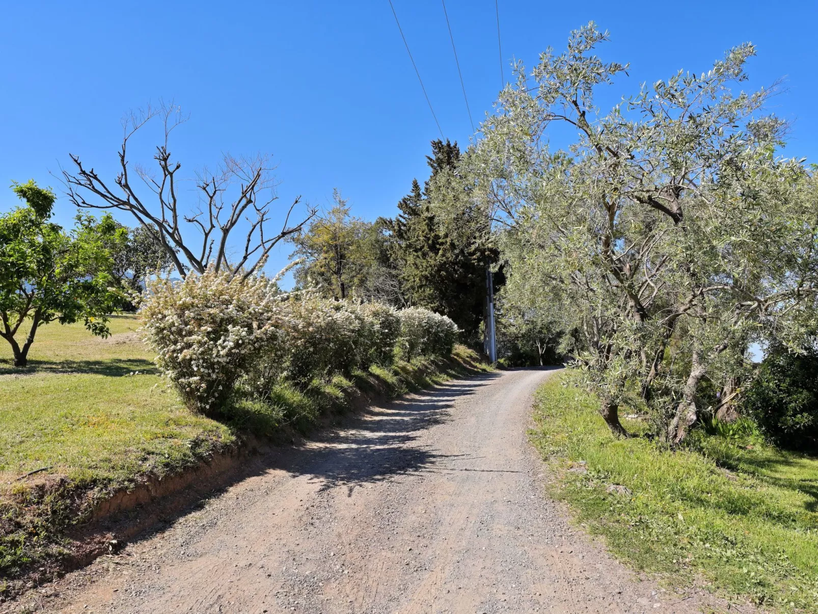Weingut Punta della Guardia Ruhig und beschaulich-Buiten