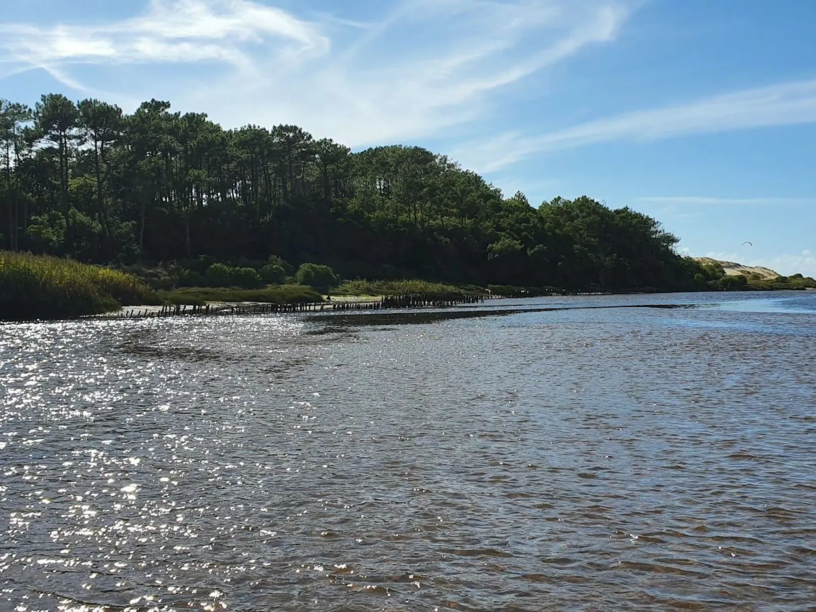 Villa Cocoon Contis-plage 1 chambre-Image-tags.info