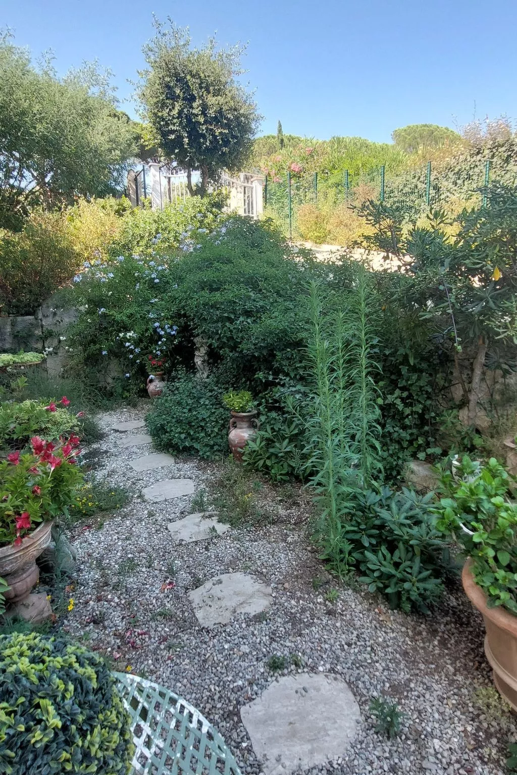 Der Meereswind-Image-tags.info