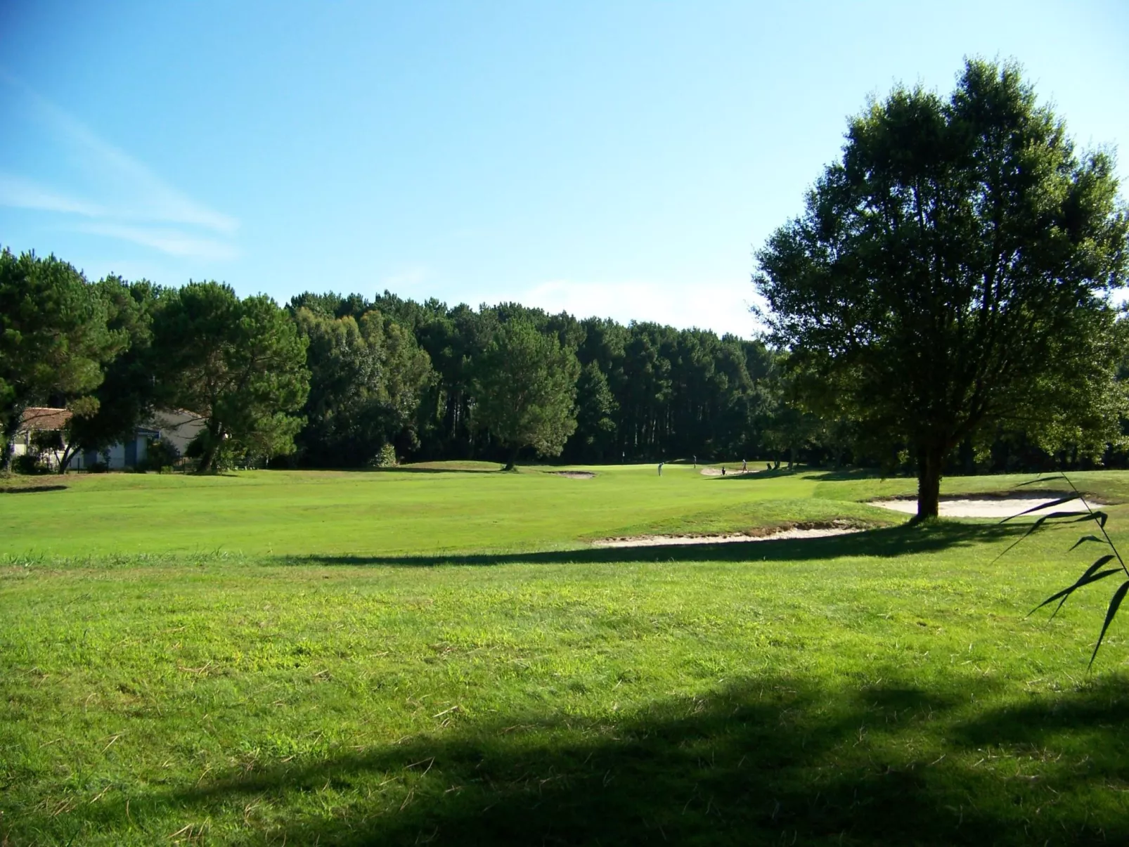 Hübsches kleines Haus in ruhiger Lage in einer baumbestandenen Residenz mit beh-Buiten