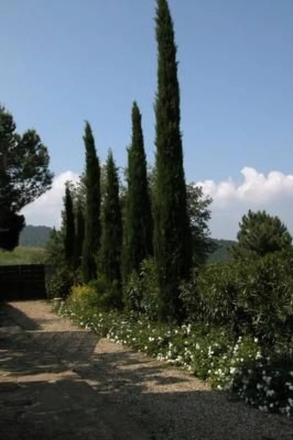 Podere Campolungo - Lo Studio-Buiten