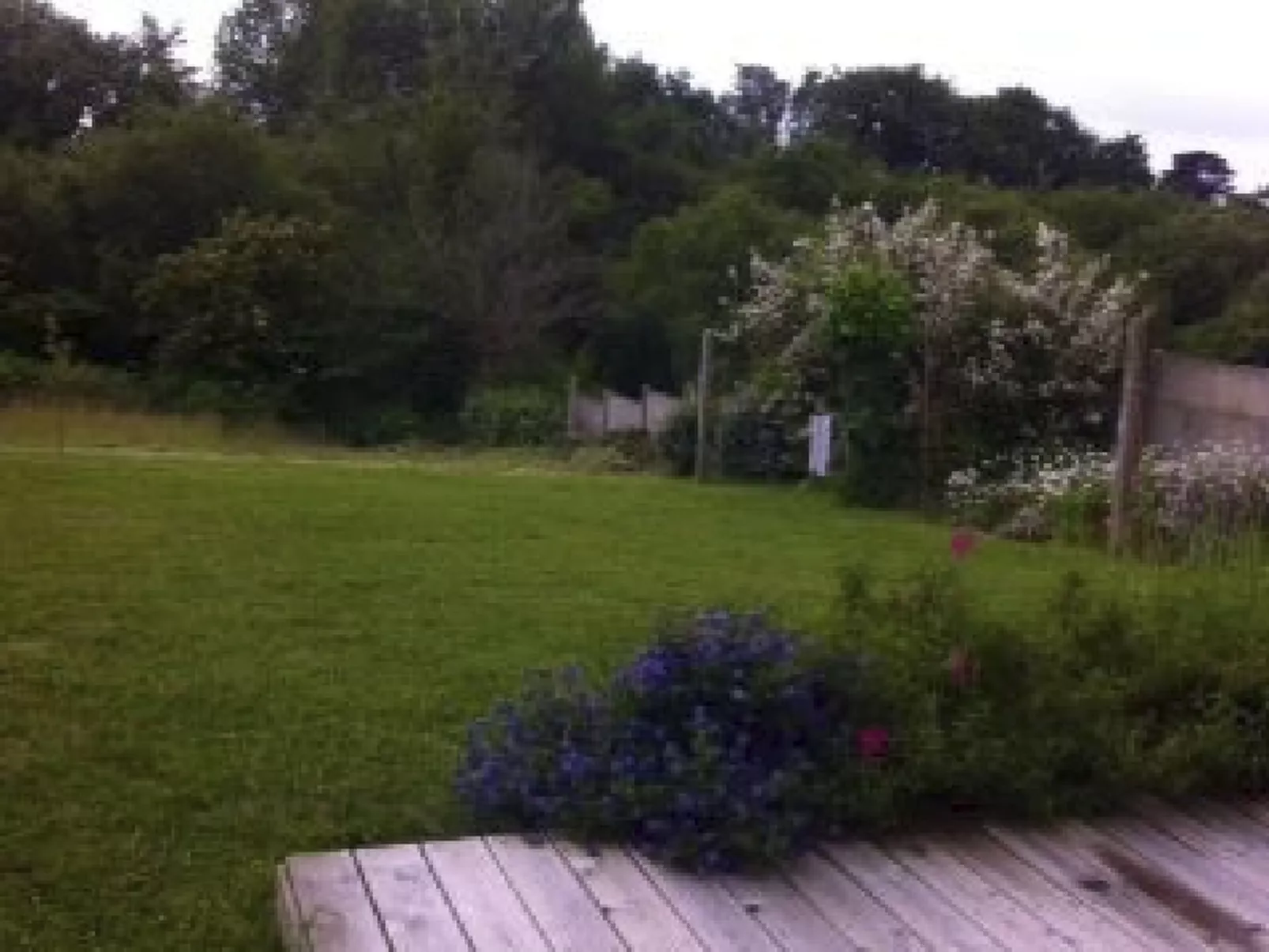 Tolles Ferienhaus in Esquibien mit Großem Garten-Buiten