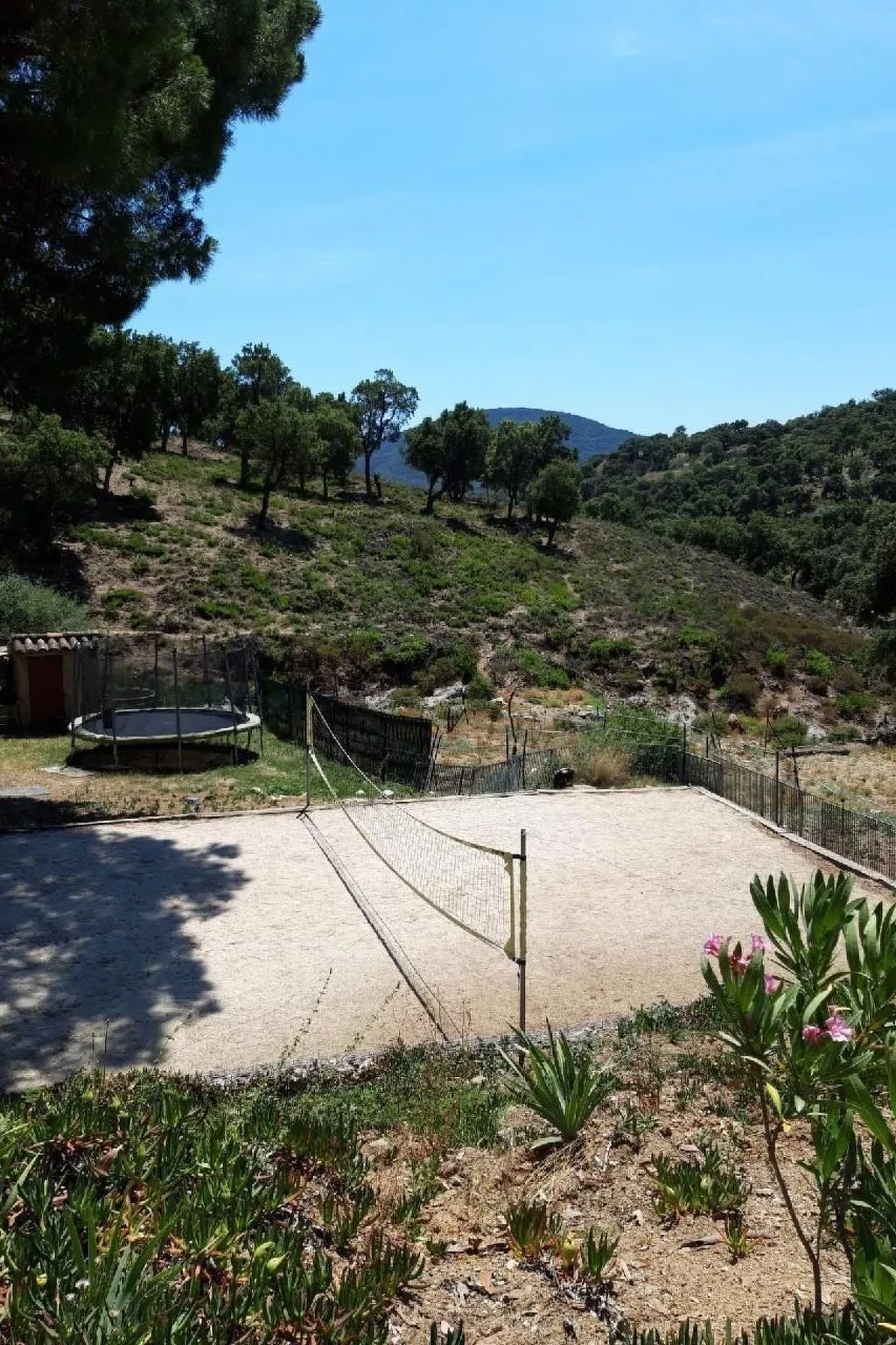 Jolie-Image-tags.info