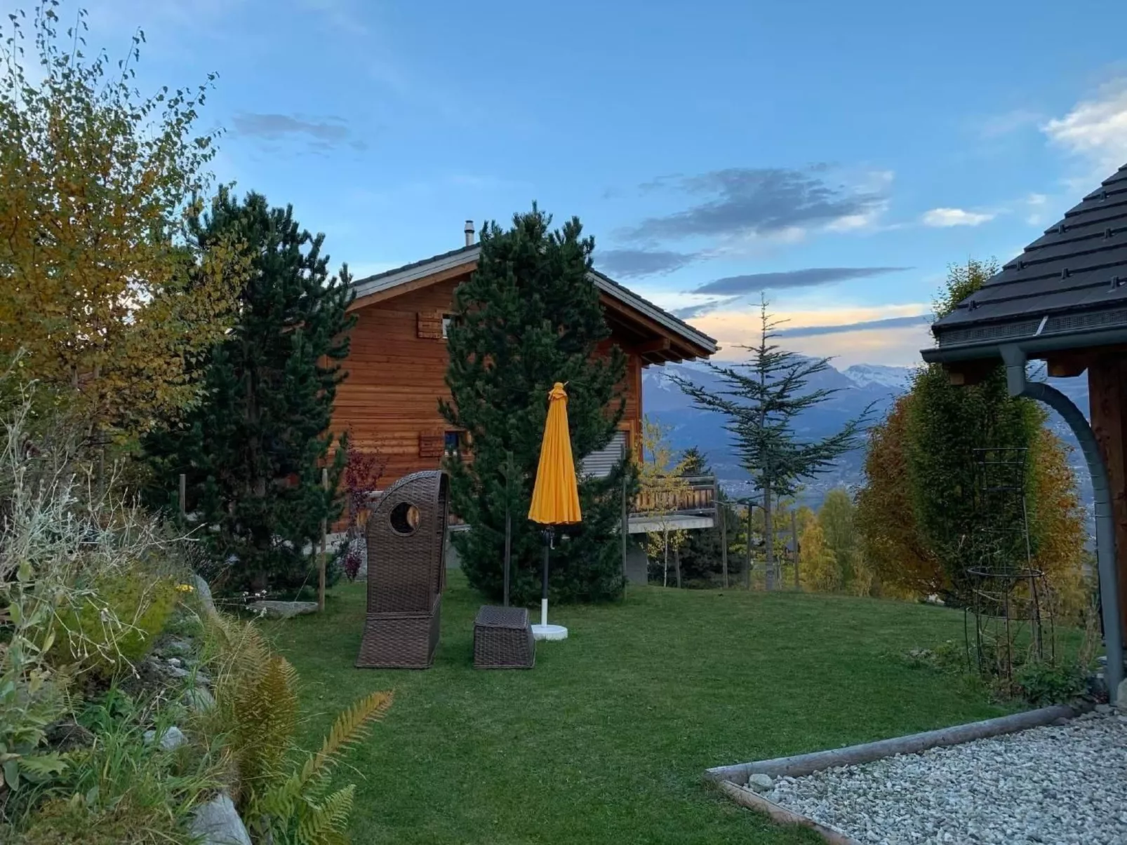 Blue Merle-Image-tags.info