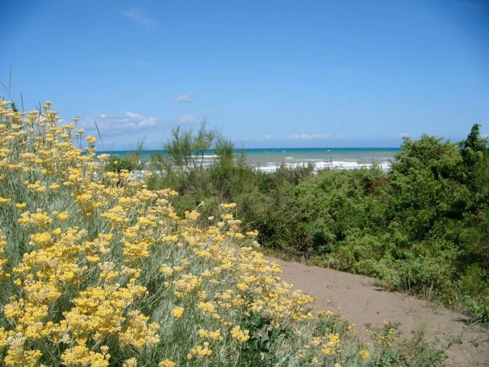 Ein-Zimmer-Wohnung 'Murex' in Strandnähe-Buiten