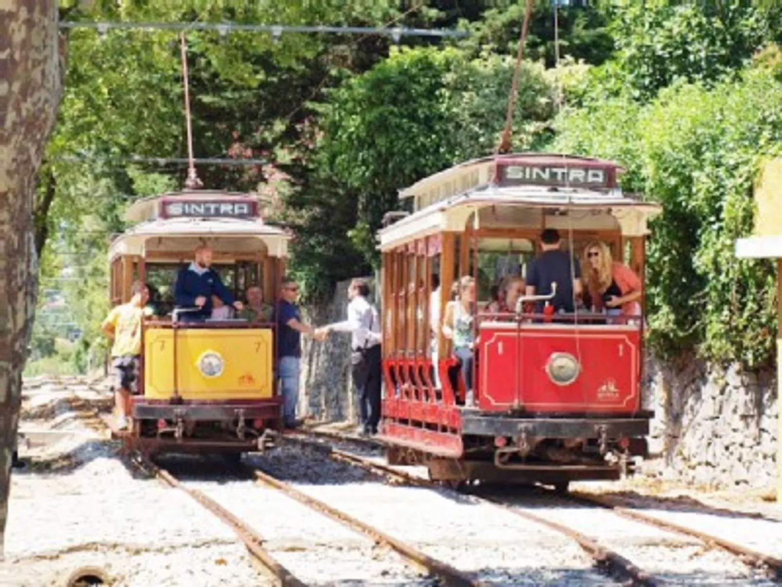 Schönes Ferienhaus in Colares mit Privatem Pool-Buiten