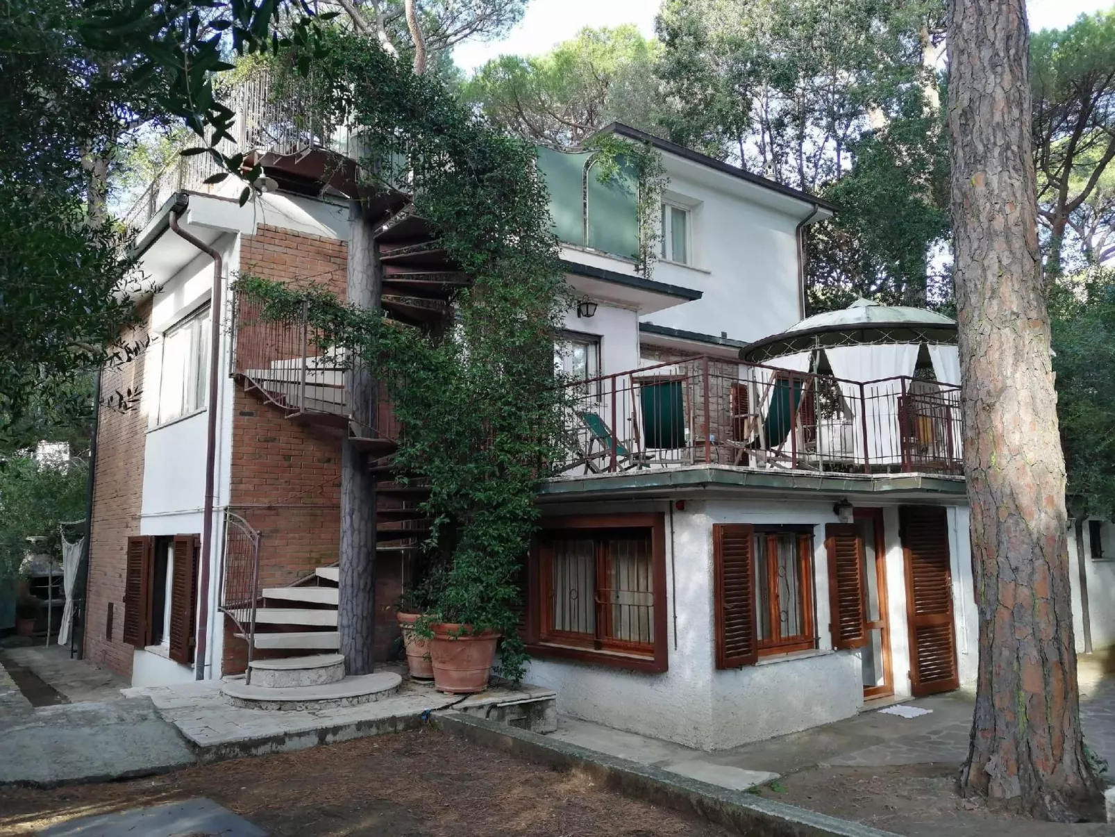 Iris' Wohnung mit Terrasse-Buiten