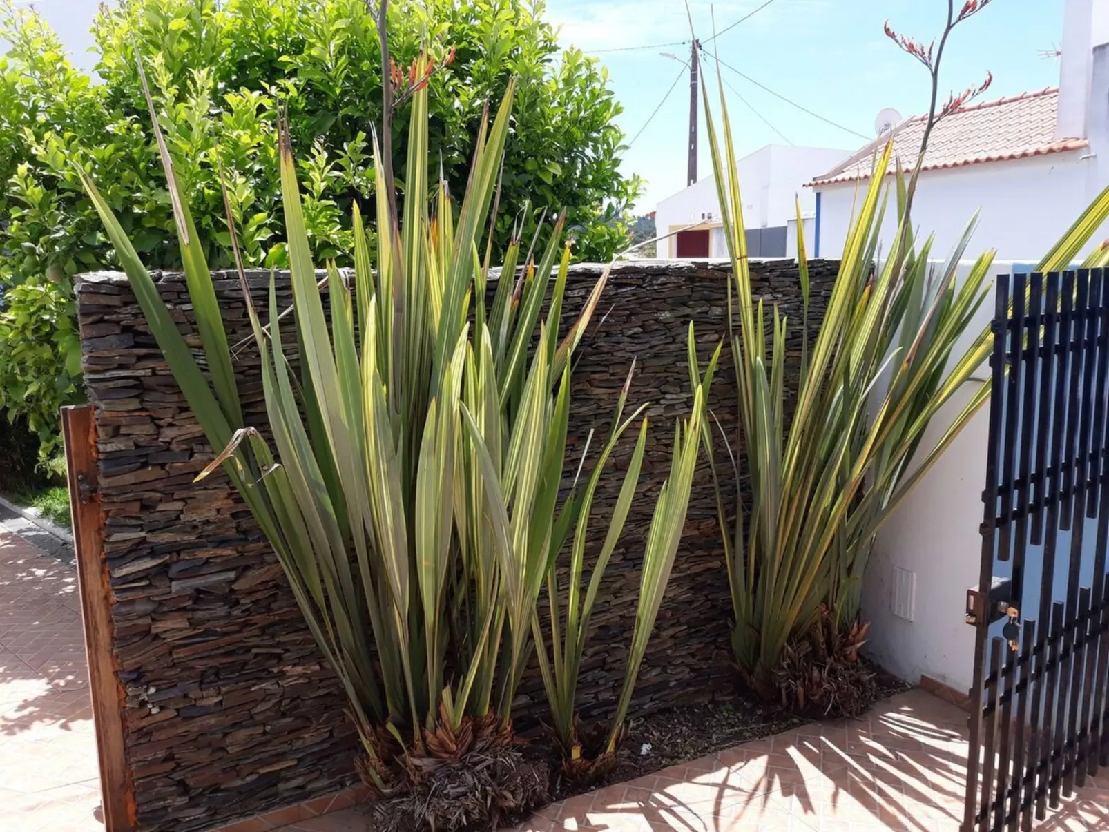 Erholen und Entspannen im Alentejo-Image-tags.info