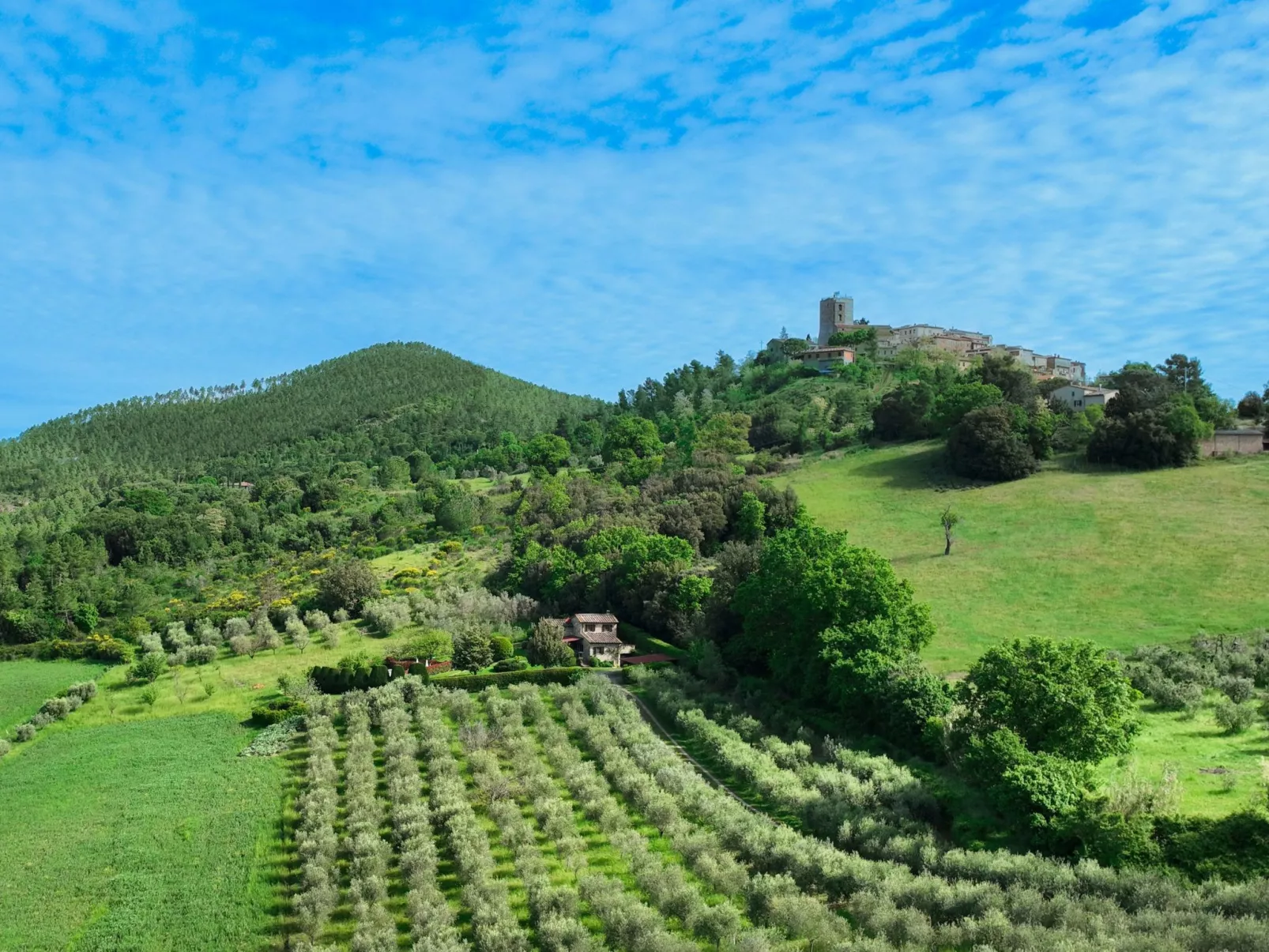 Anwesen "Toskanische Villa" mit privatem Pool-Buiten