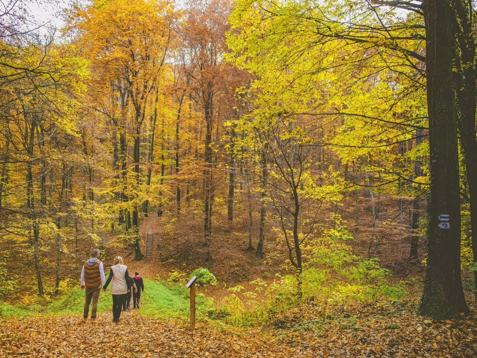 Große Ferienwohnung für 6 Personen-Image-tags.info