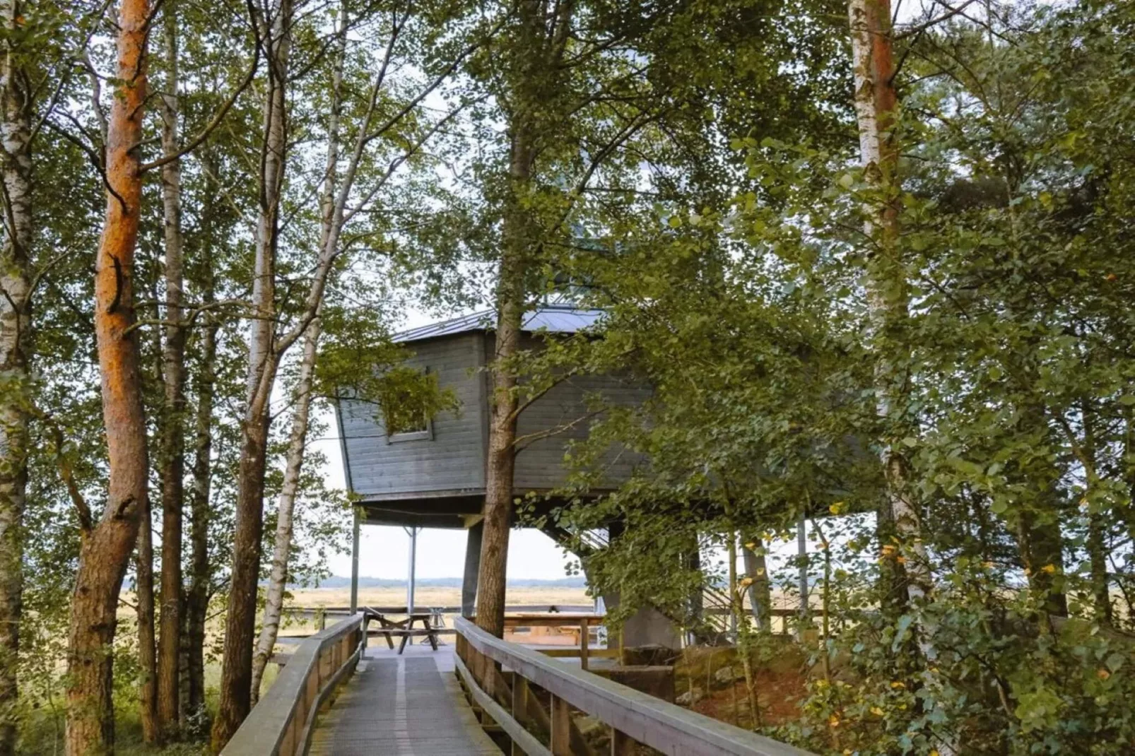 4 sterren vakantie huis in VÄRNAMO-Niet-getagd