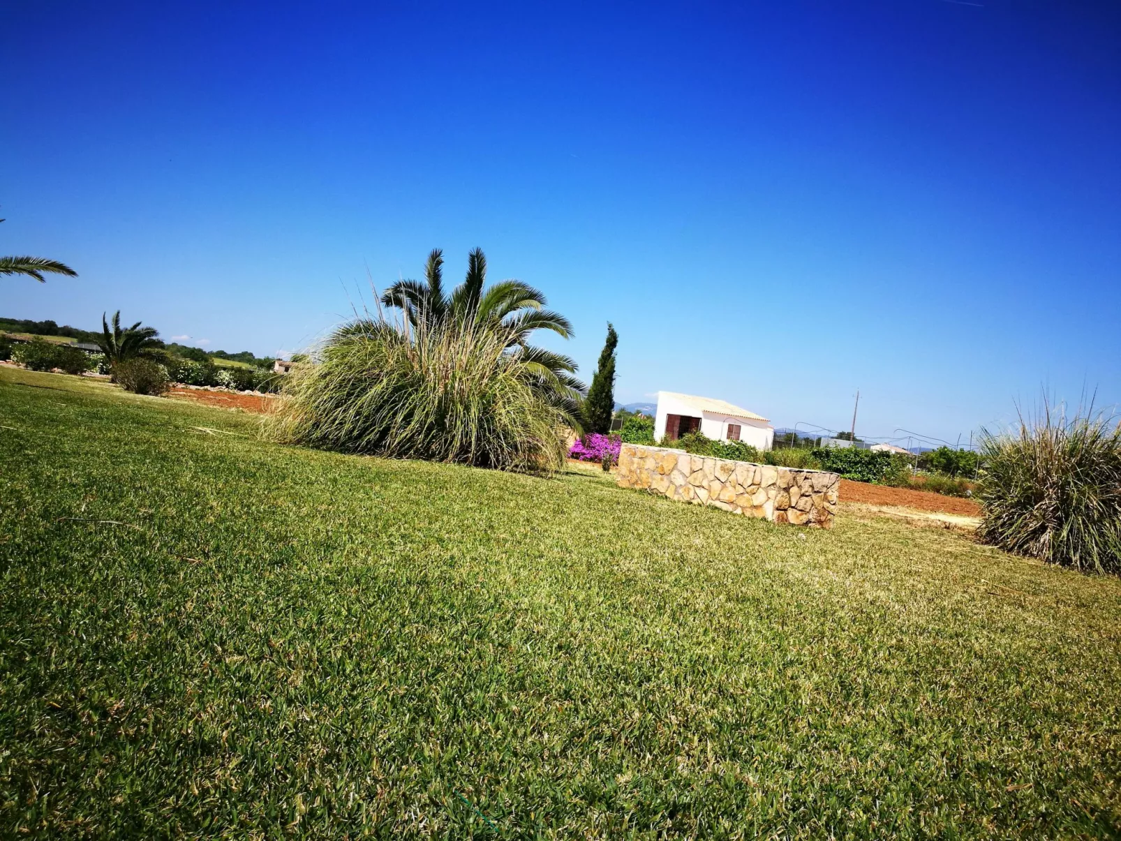 Finca Alegria-Image-tags.info