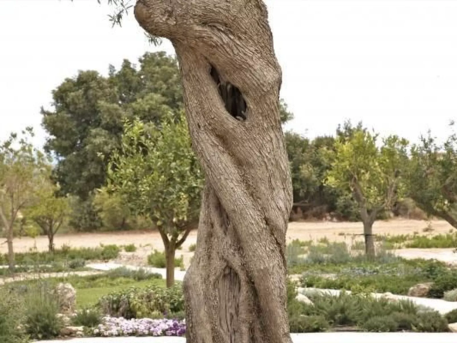 Villa Vendicari Junior-Image-tags.info