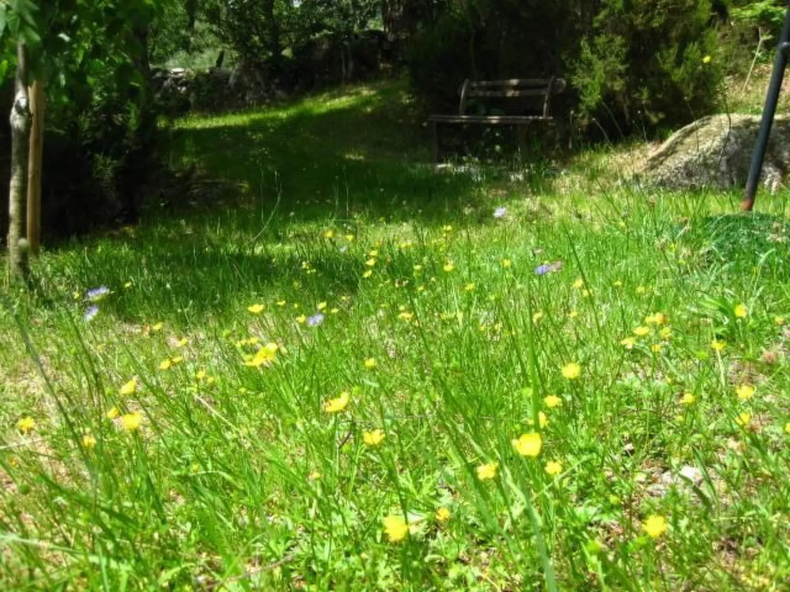 Apartamento 'A Solaina' mit Terrasse-Buiten