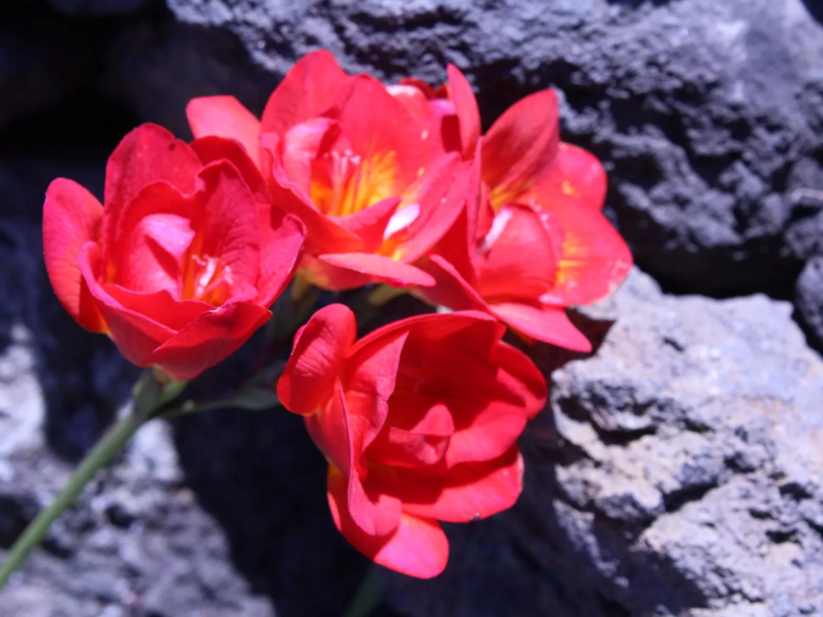 In Monte Breñas mit Grill, Terrasse und Garten-Buiten