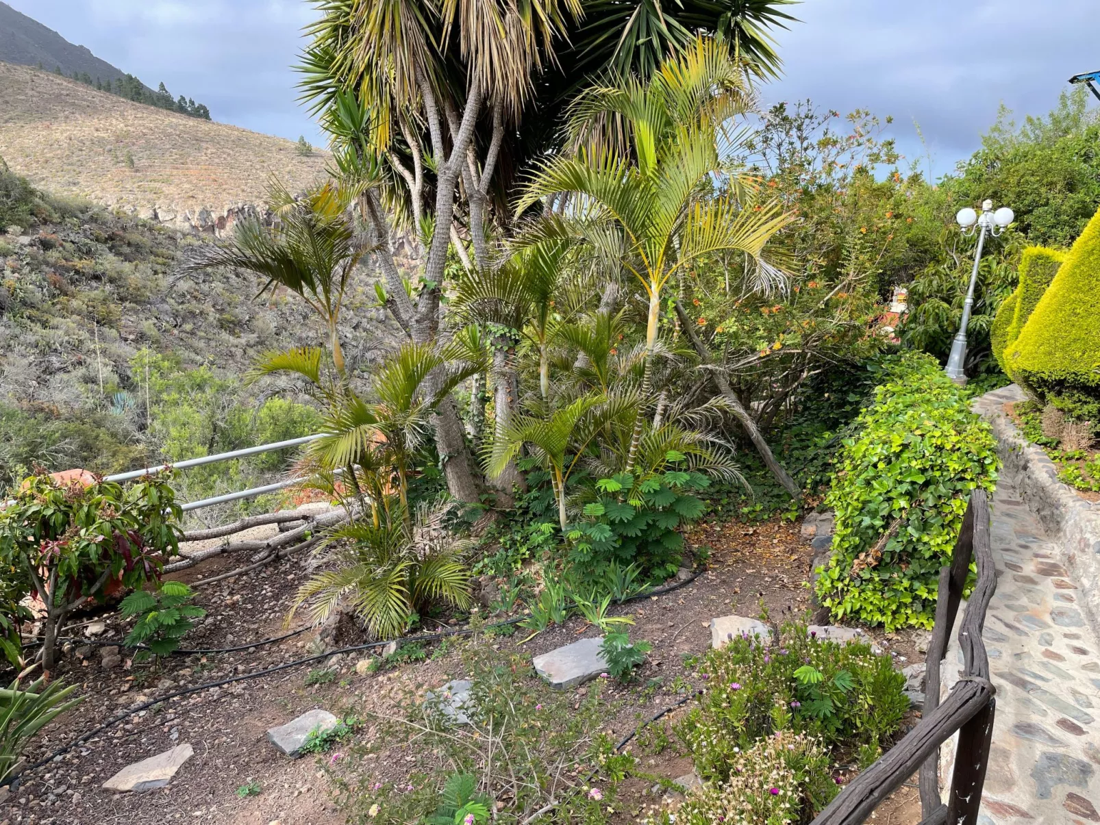 La Paloma mit gemeinschaftlichem Wellnessbereich-Buiten