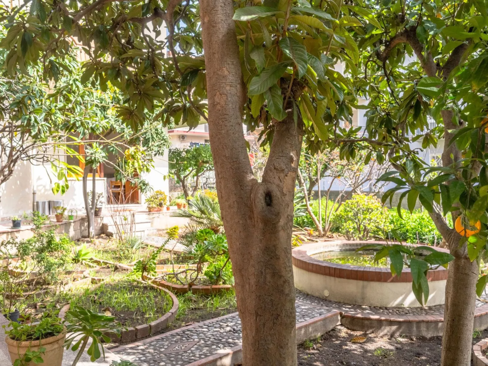 Die Orange und der Goldfisch-Image-tags.info