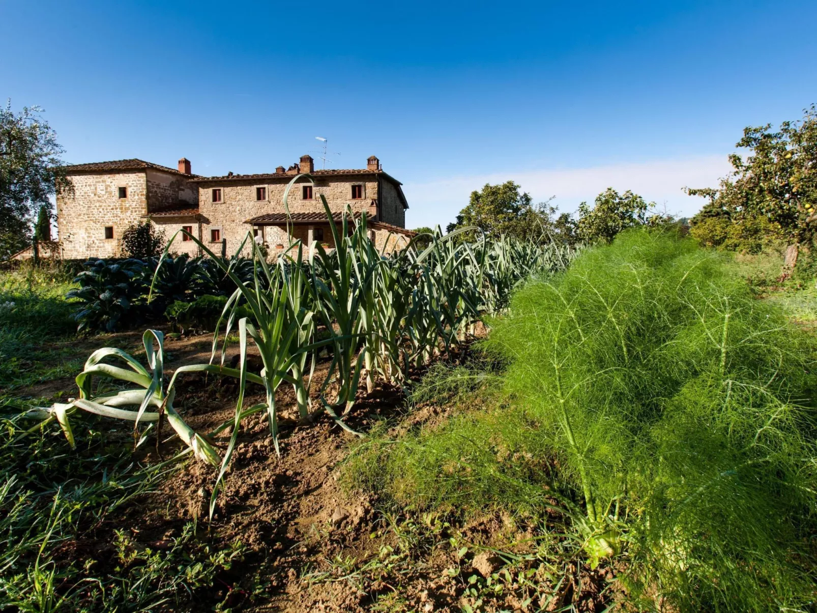 Wohnung Le Botti-Buiten
