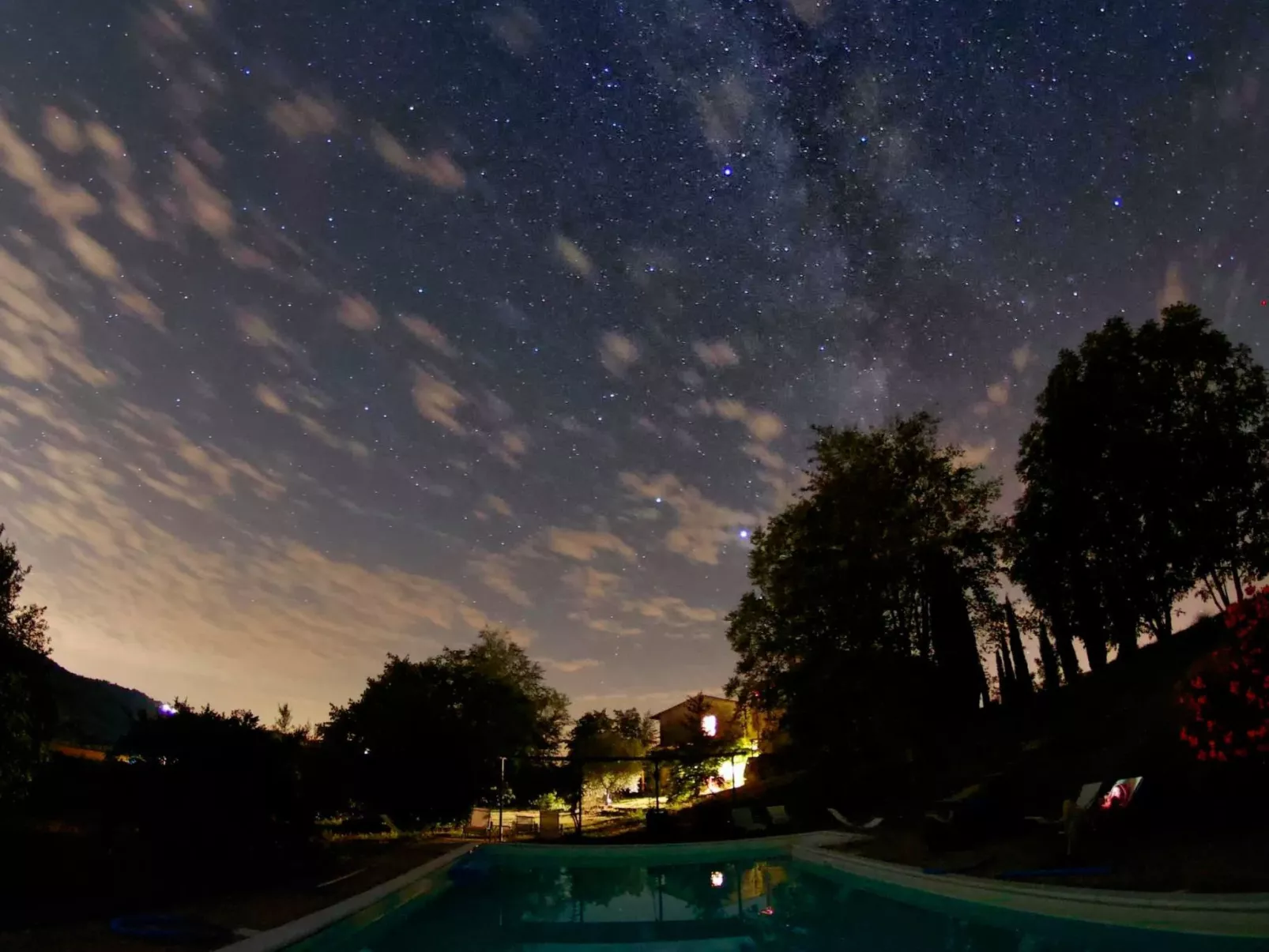 L'Ulivo-Image-tags.info