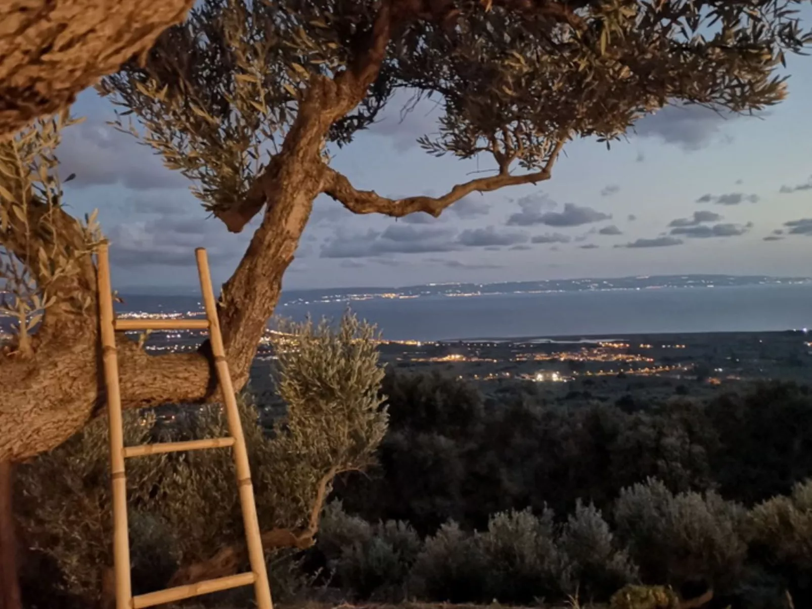 Wunderschöne Villa dei Feaci mit Pool-Image-tags.info