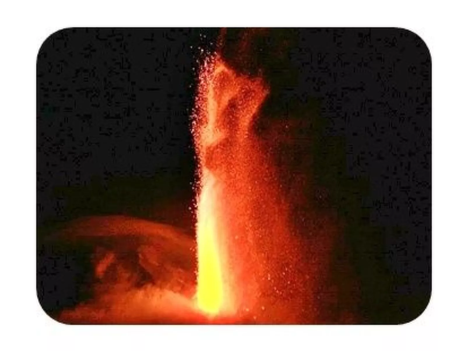 Don Diego-Image-tags.info