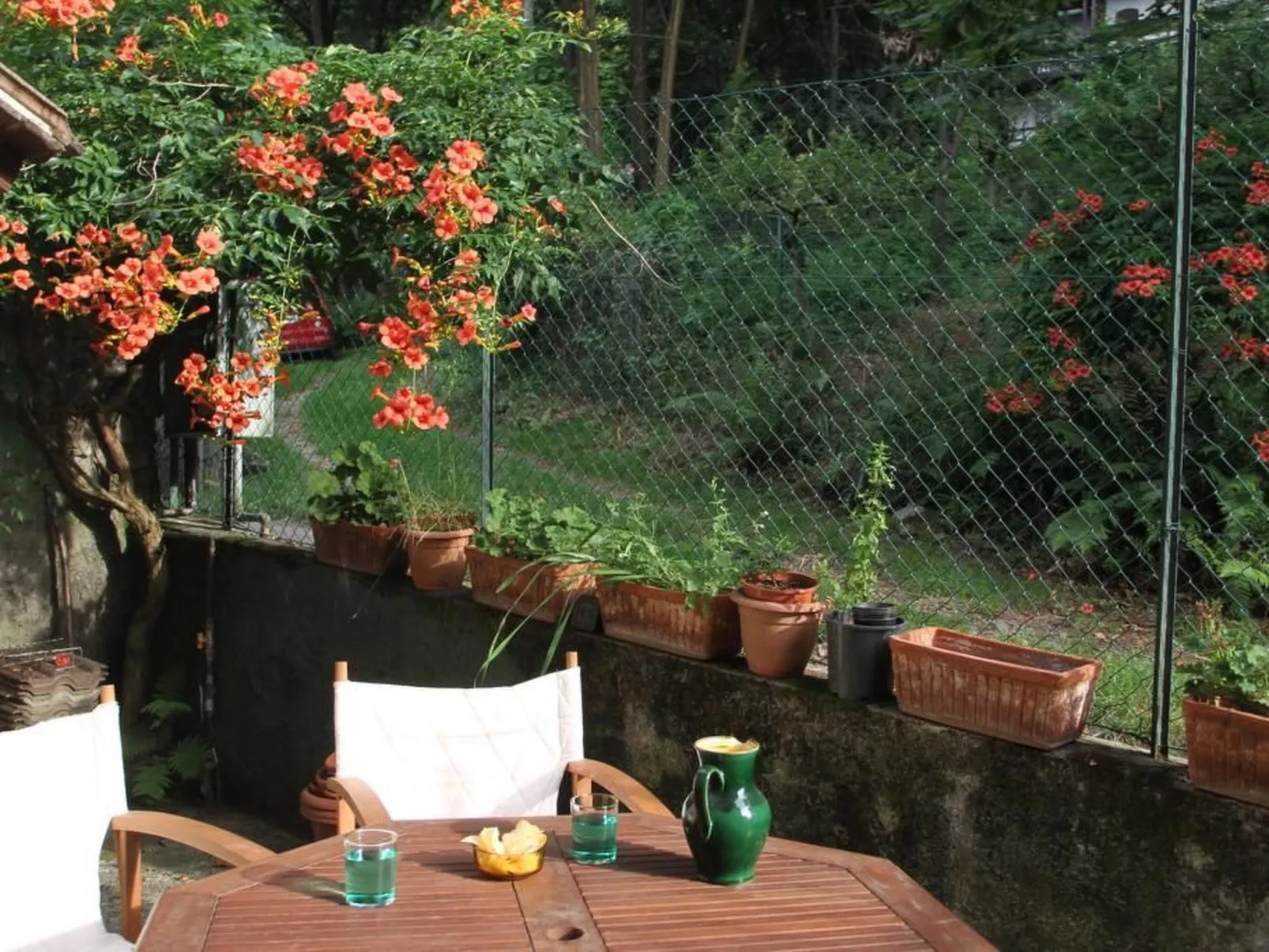 'Ca Ronit-Image-tags.info