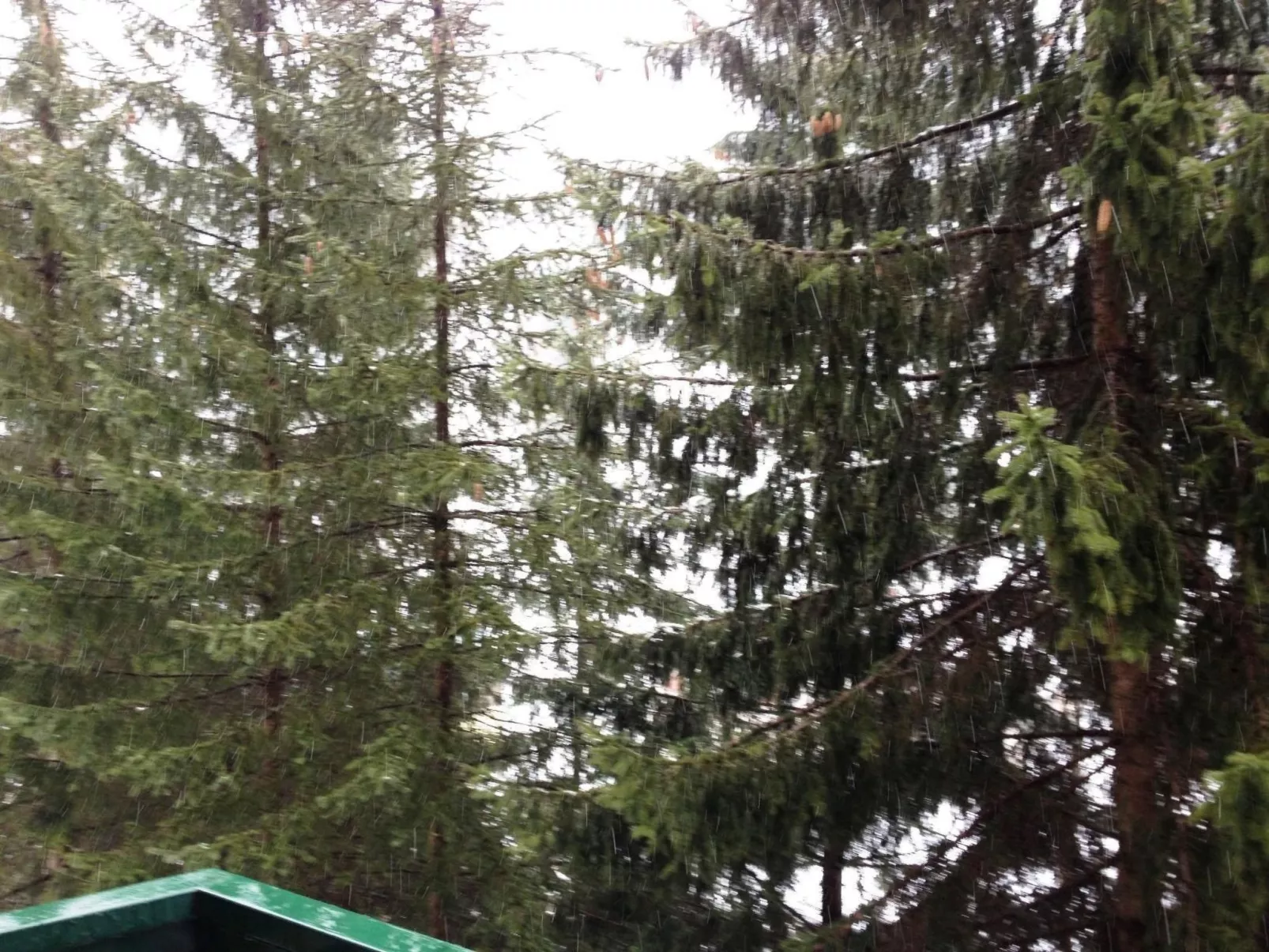 Studio für 4 Personen ca. 60 m&sup2; in Limone Piemonte, Piemont (Provinz Cuneo-Buiten