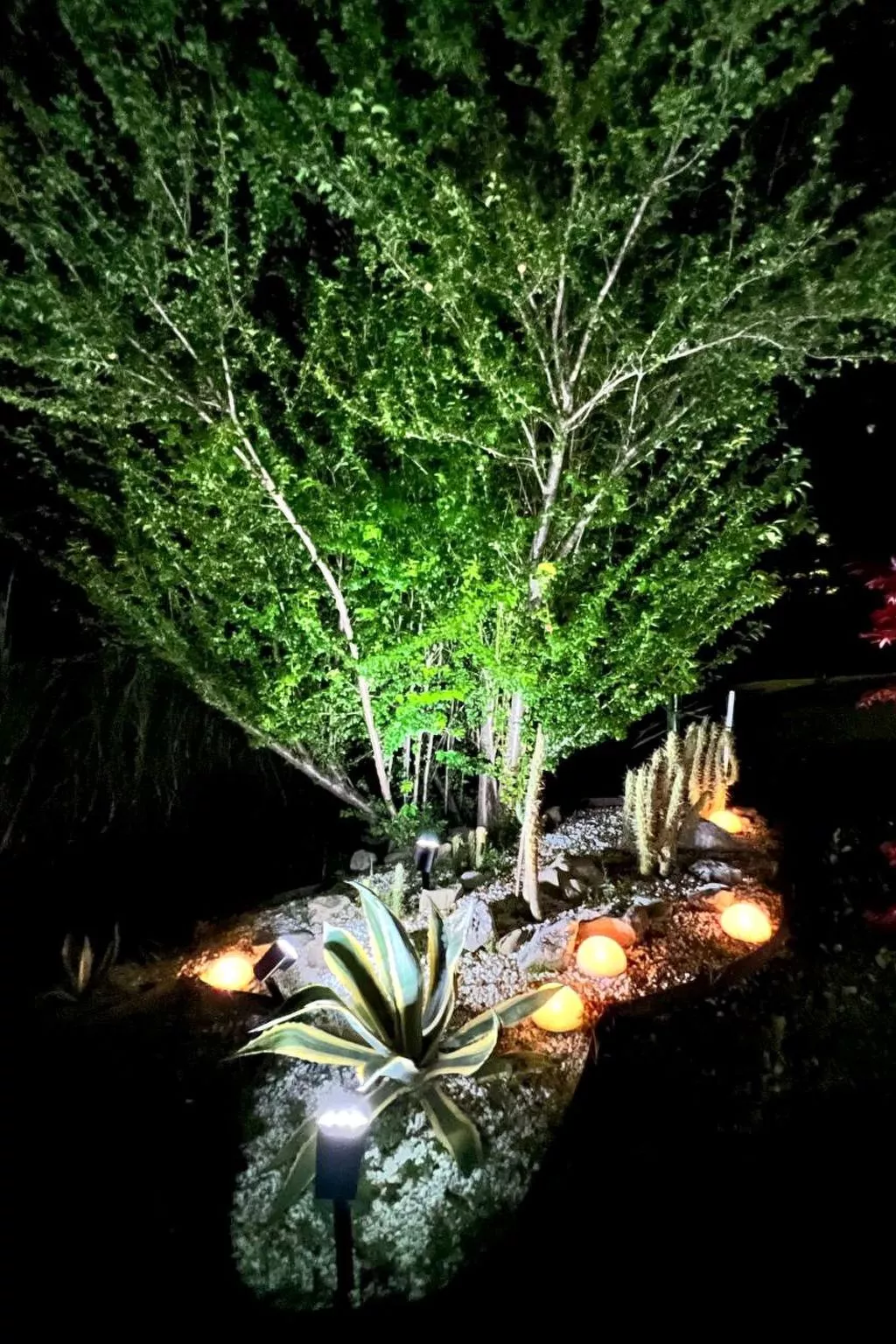 Gan Eden Nature House-Buiten