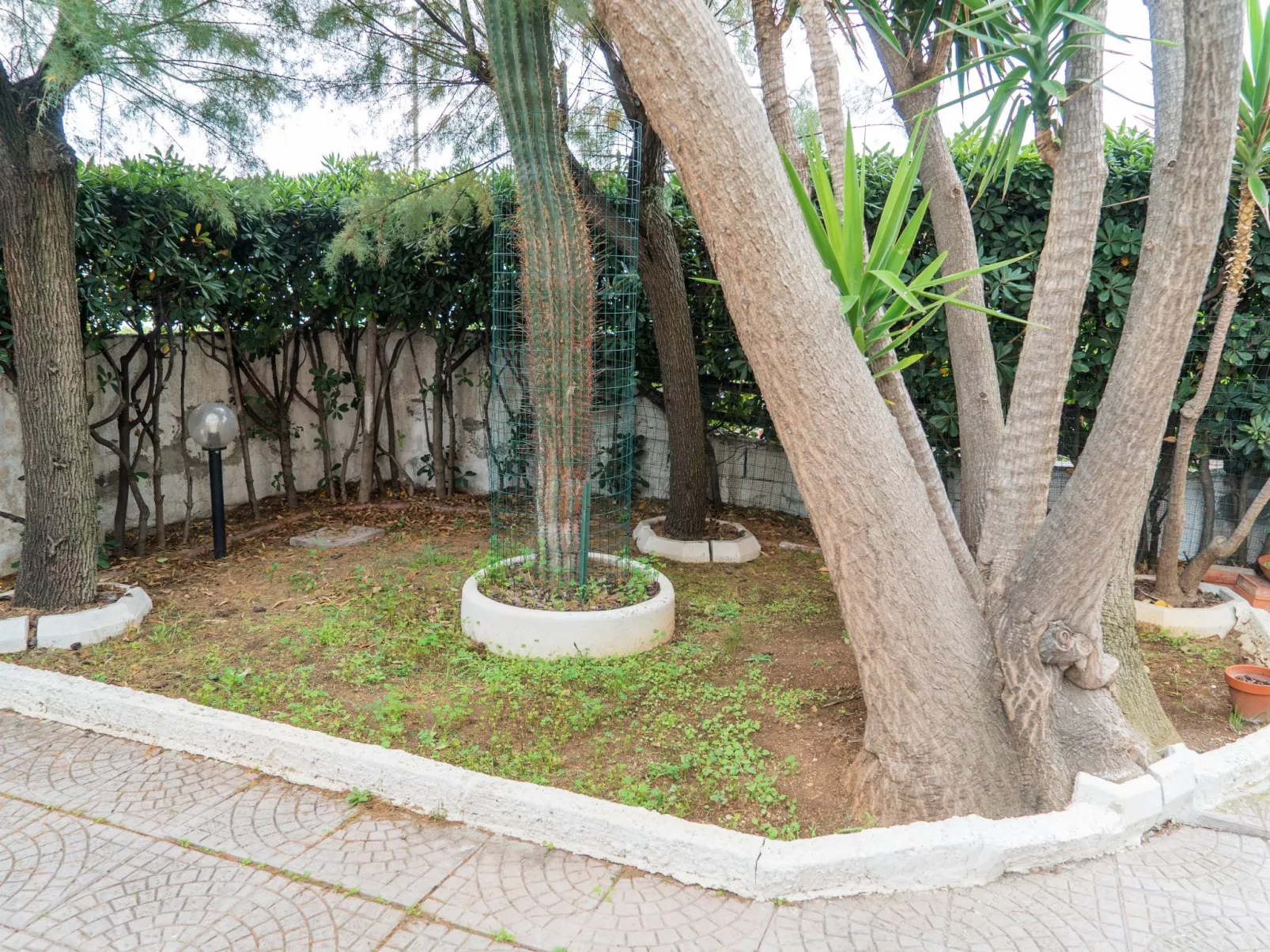 Mit Meerblick-Buiten