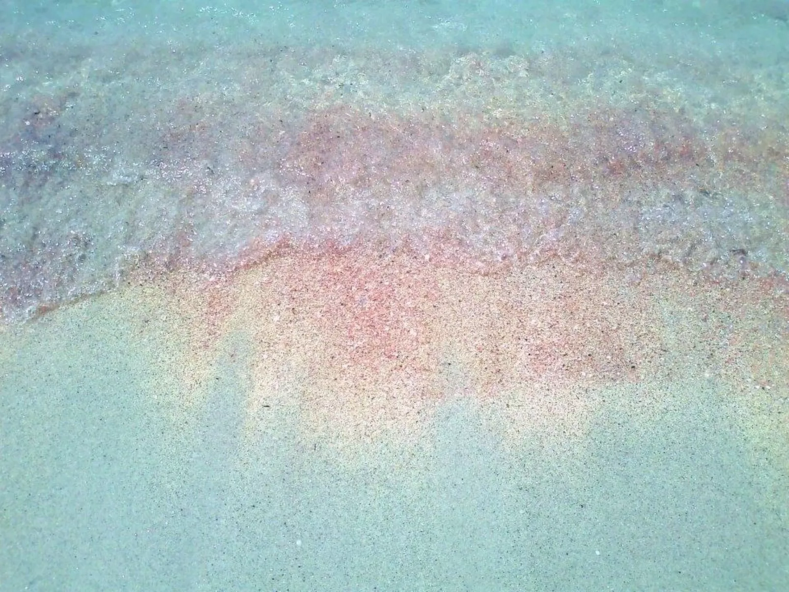 Trilokal 9-Image-tags.info