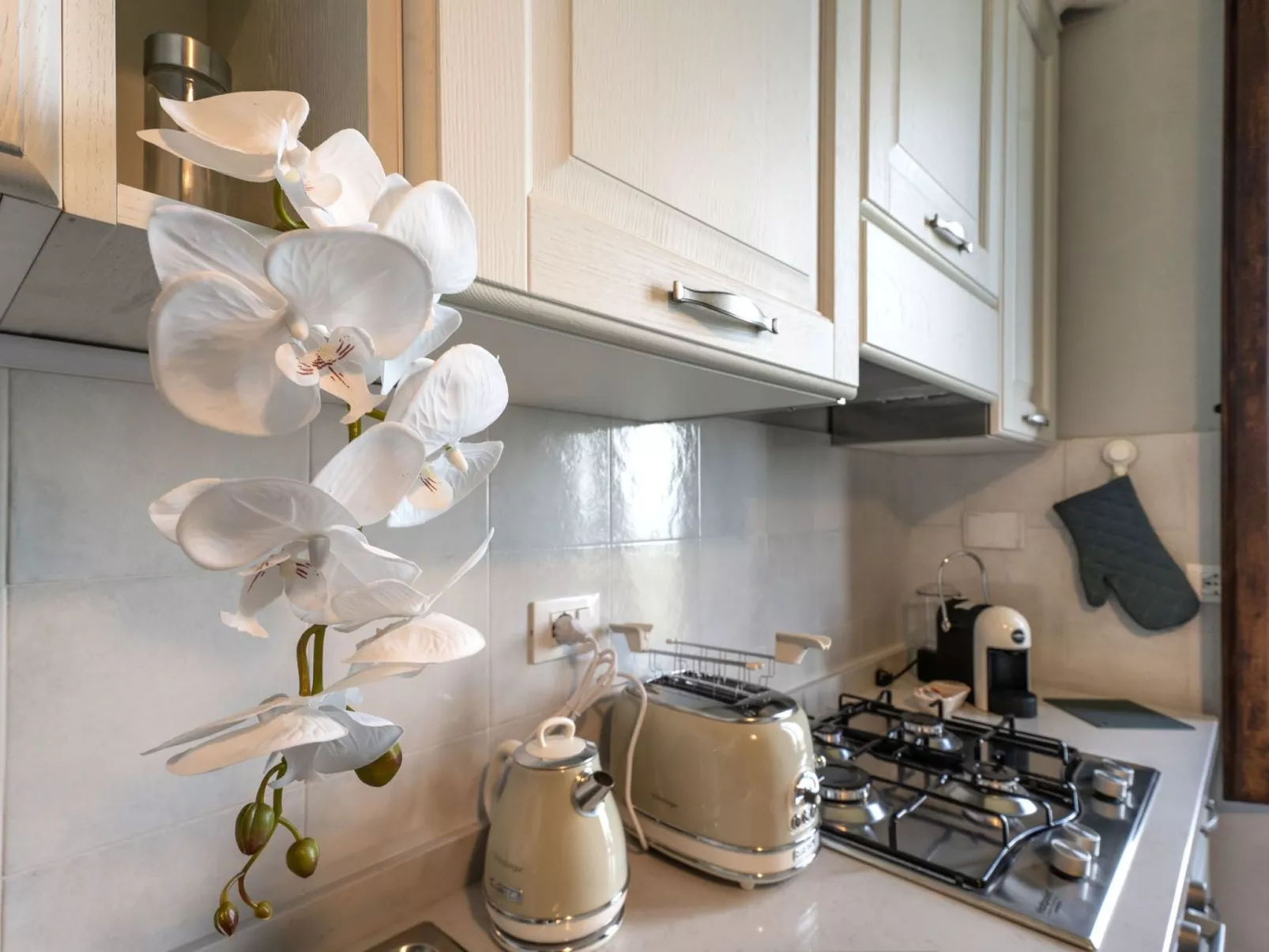 Wohnung La Volata in Massa e Cozzile-Image-tags.info