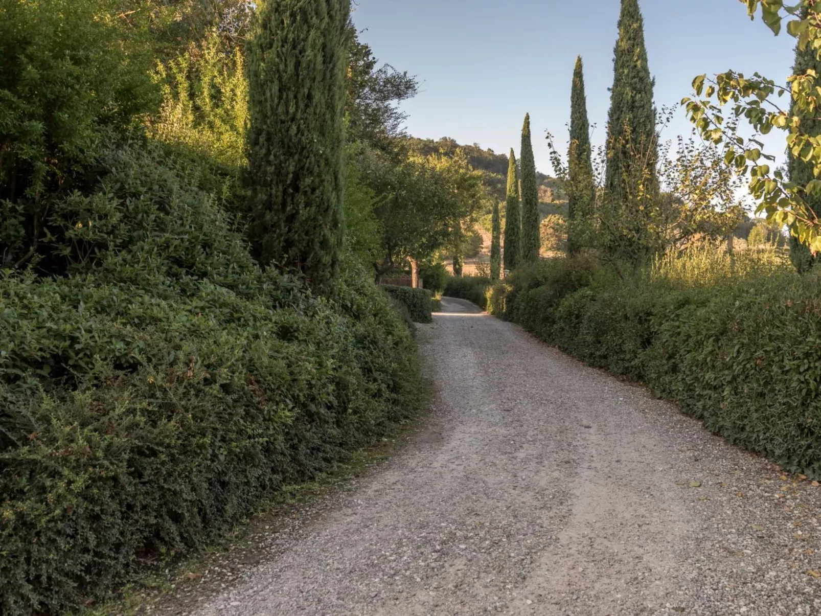 Wohnung Certaldo-Buiten