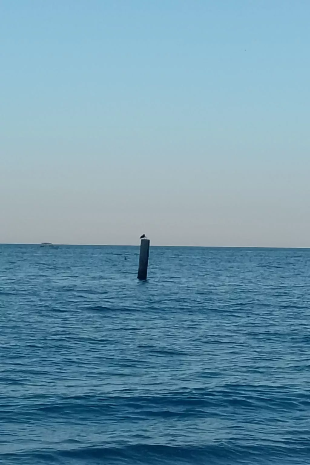 Wohnung "Riviera del Conero-Buiten