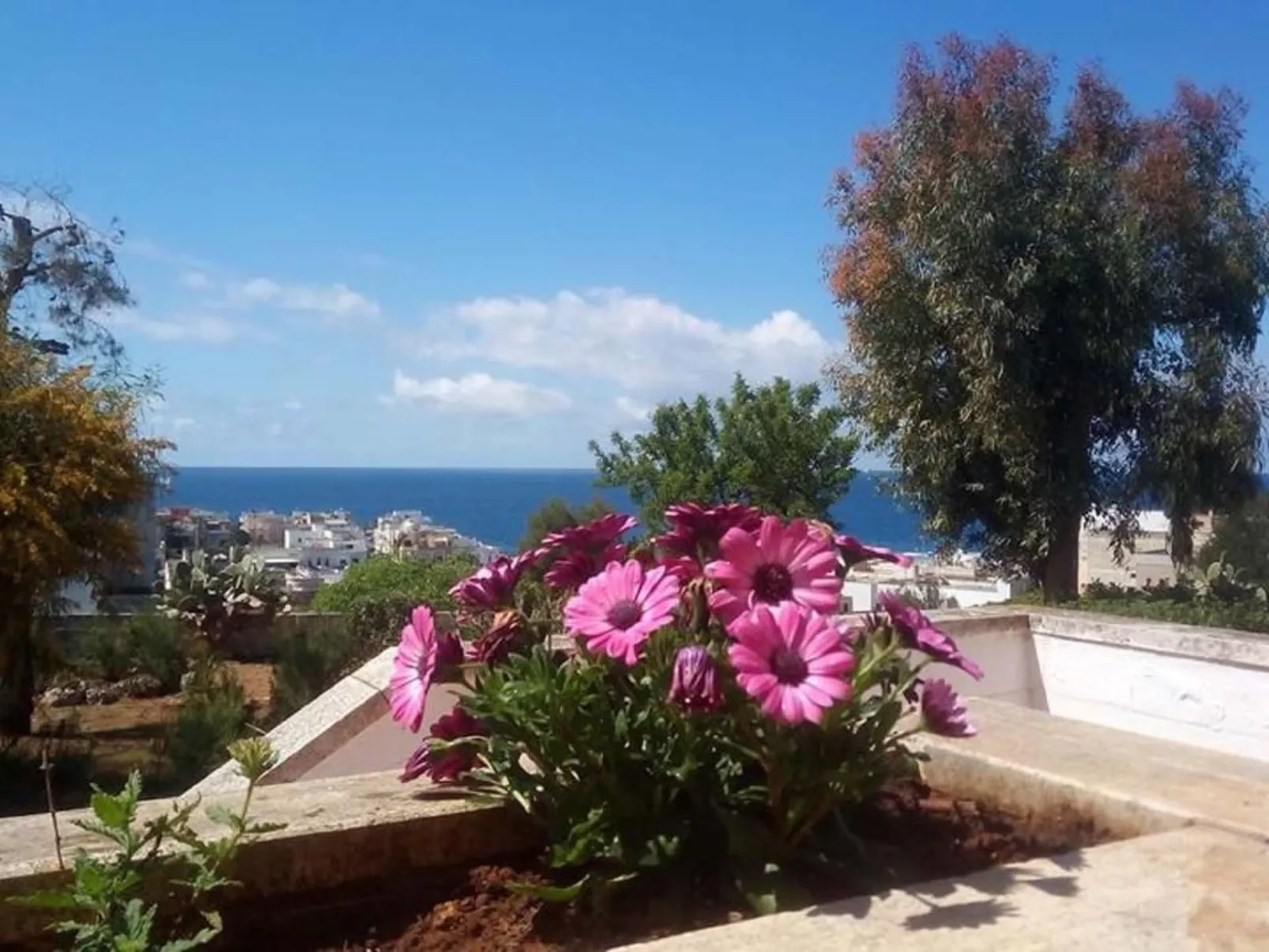 Wohnung in einer Residenz, nur wenige Meter vom Meer entfernt-Image-tags.info