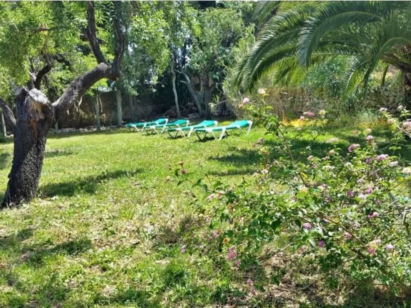 Finca "Mallorca Muro" mit Garten und Grill-Image-tags.info