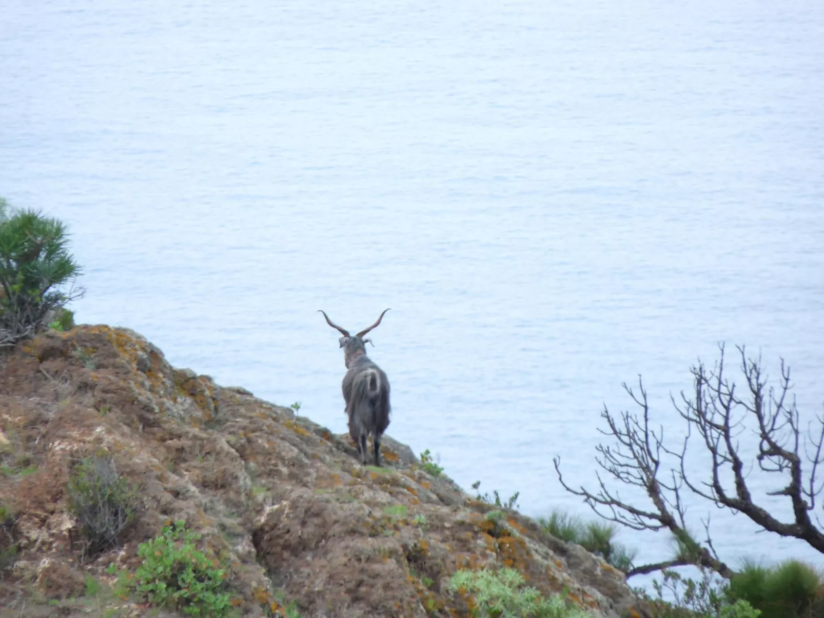 Ruhige Finca Topo del Drago mit Meerblick-Buiten