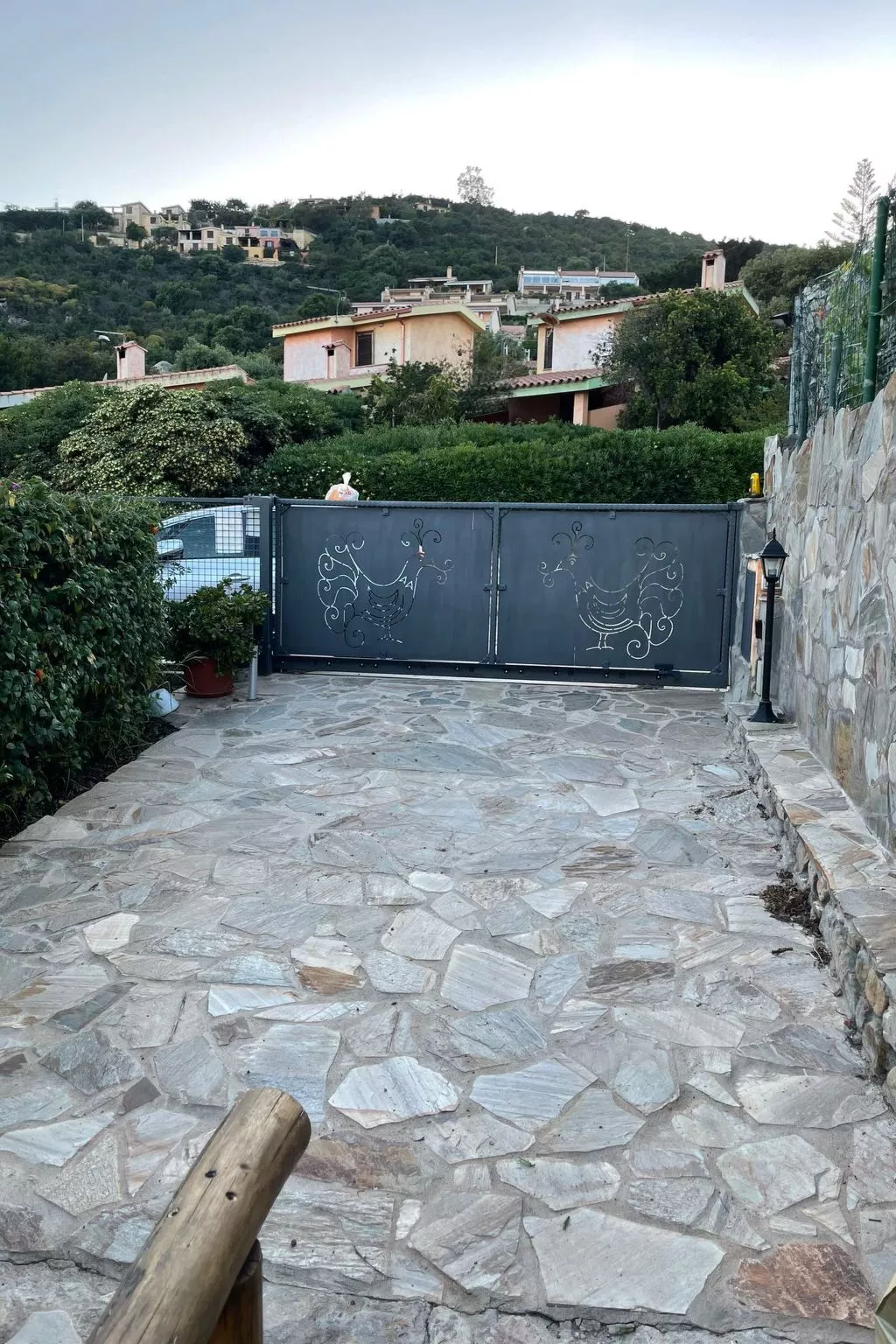 Mattia-Image-tags.info