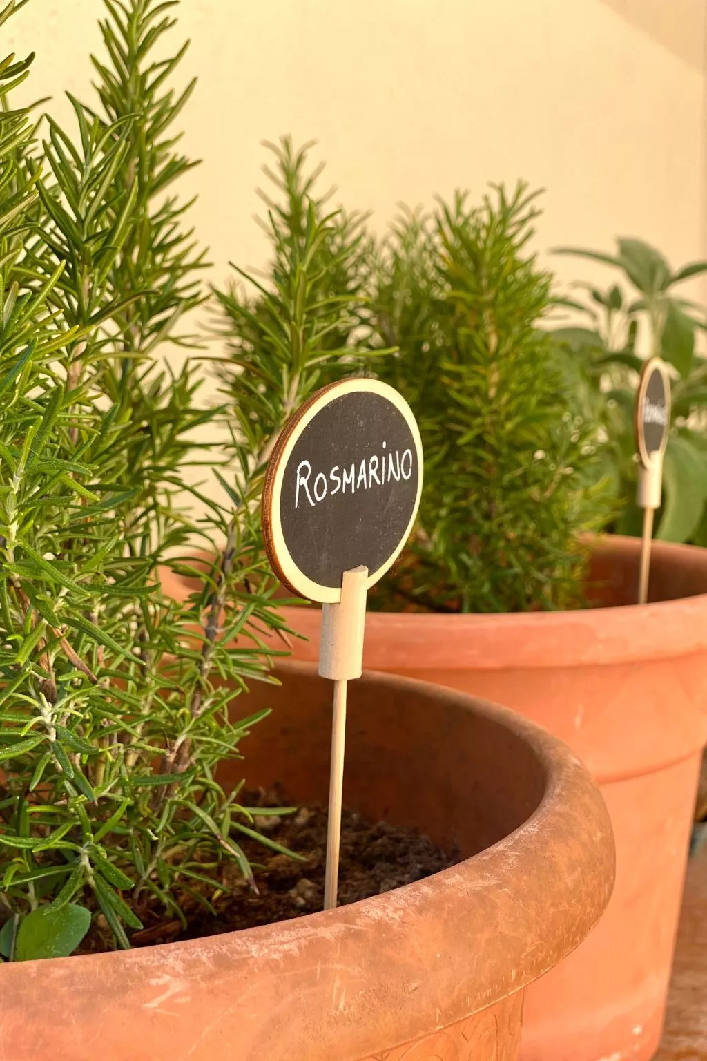 Gemütliche Drei-Zimmer-Wohnung mit Garten-Buiten
